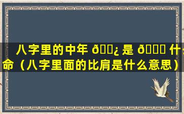 八字里的中年 🌿 是 🐒 什么命（八字里面的比肩是什么意思）